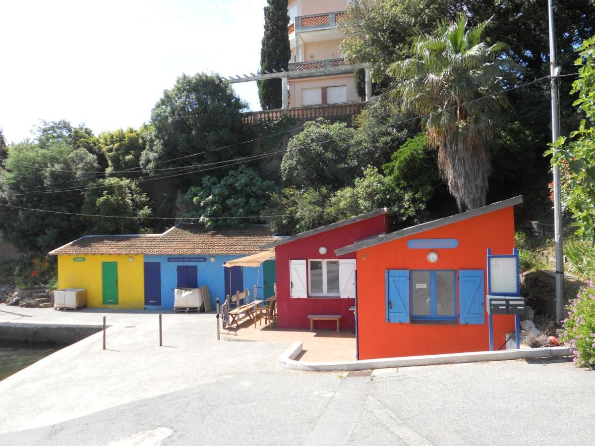 Le Dramont Vue Panoramique Foret Saint-Raphael (Var)