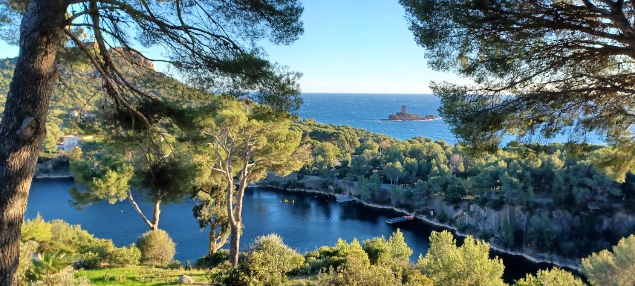 Le Dramont Vue Panoramique Foret * Saint-Raphael (Var)