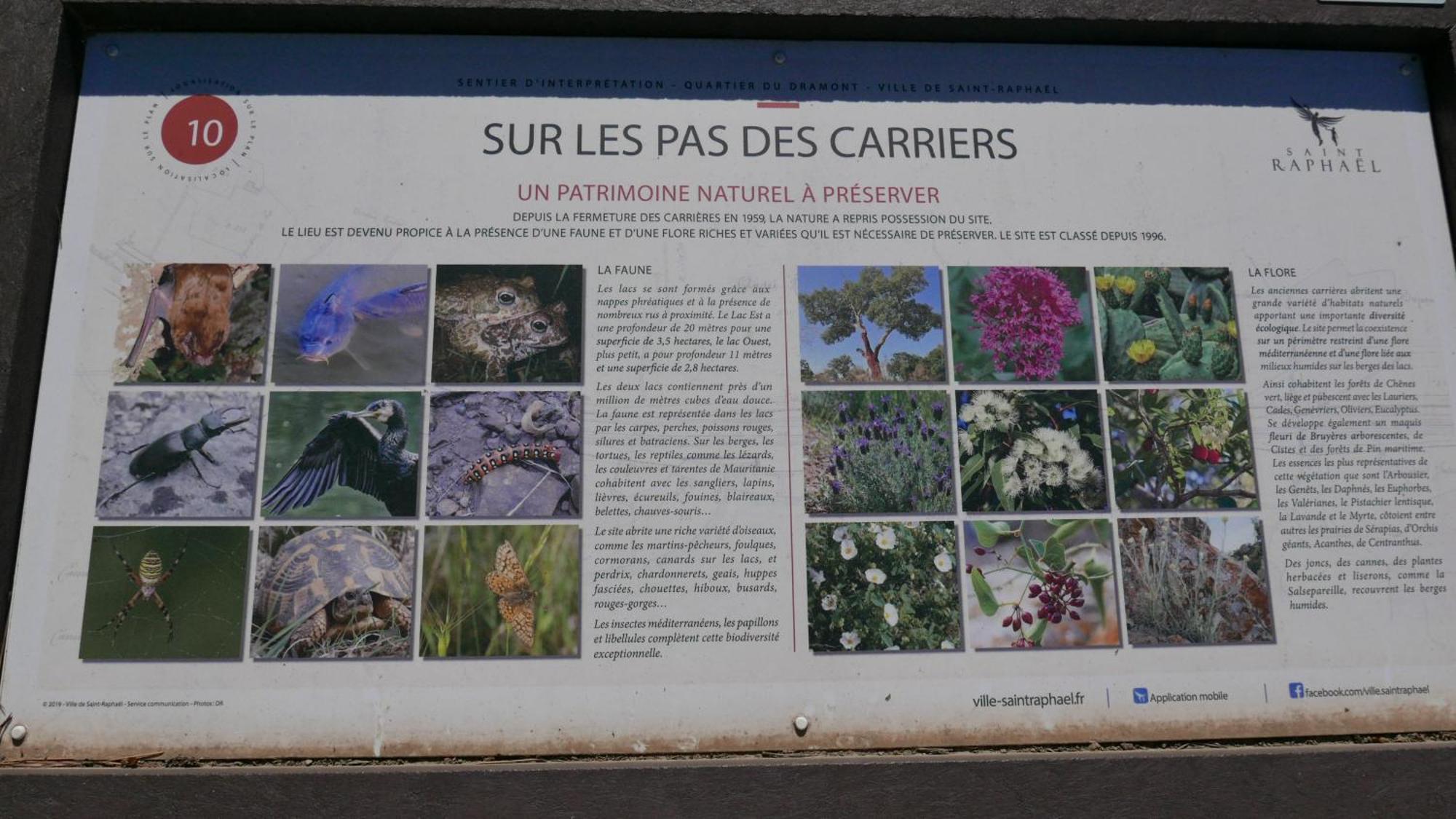 Le Dramont Vue Panoramique Foret Saint-Raphael (Var)